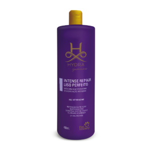 Hydra Intense Repair Liso Perfeito 480mL