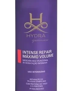 Hydra Intense Repair Máximo Volume 480mL